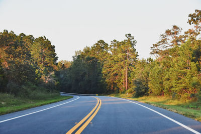 Road Tree Plant