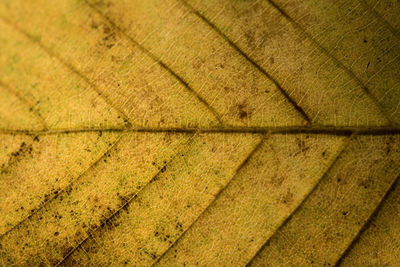 Full frame shot of textured wall