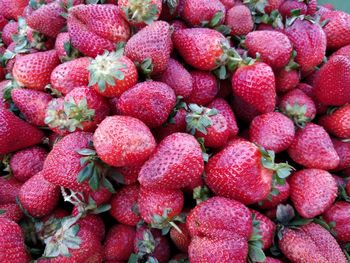 Full frame shot of strawberries