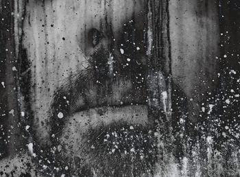 Close-up portrait of woman seen through glass