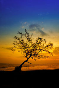 Scenic view of tree by sea at sunset