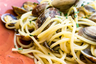 Close-up of noodles with clams served in plate