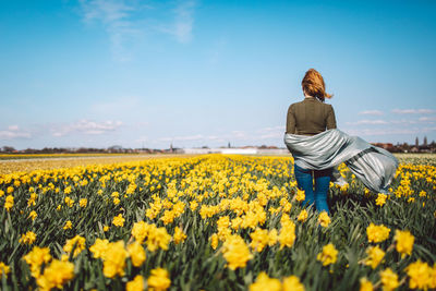 Rear view of woman with yellow flowers in field