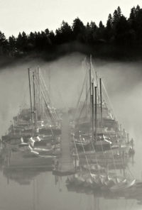 Sailboats moored in sea