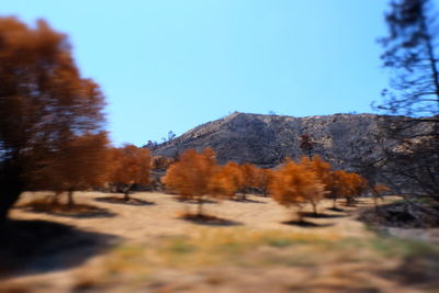 Scenic view of landscape against clear sky