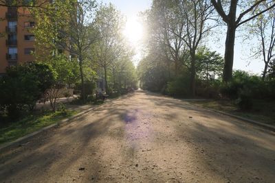 Empty road along trees