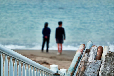 Rear view of people on beach