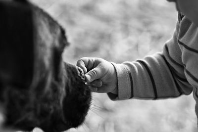 Close-up of hands holding dog