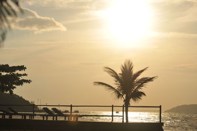 Silhouette of palm trees on calm lake at sunset