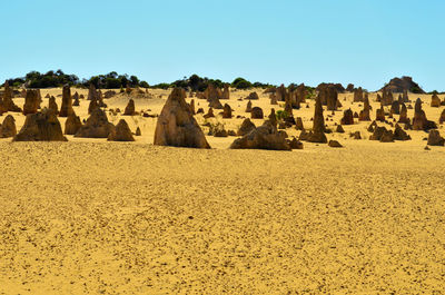 Scenic view of desert against clear sky