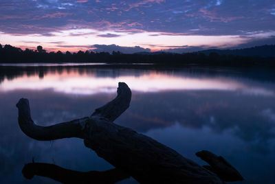 Driftwood in calm lake against sky during sunset