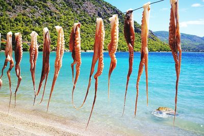 Wooden posts on beach against sky