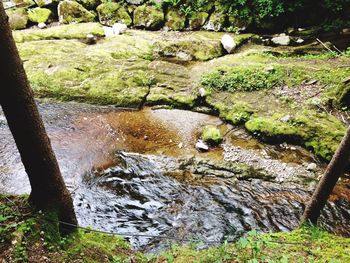 Stream flowing through rocks