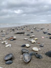 Surface level of stones on beach against sky