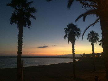 Silhouette palm trees on beach against sky during sunset