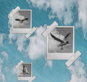 Digital composite image of a bird against the sky