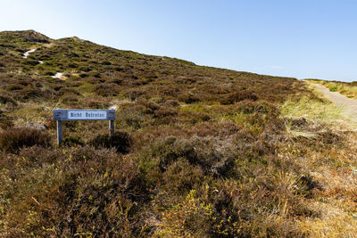 Scenic view of field against clear blue sky