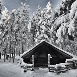 Scenic view of snow covered field