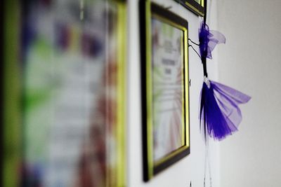 Close-up of purple flower hanging in row