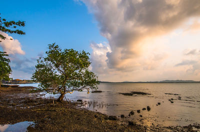 Scenic view of sea against sky during sunset