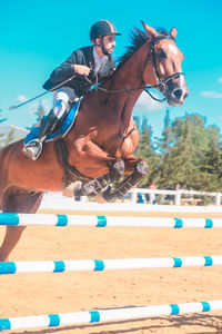 Young man riding horse in race against blue sky during sunny day