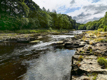 River flowing through rocks