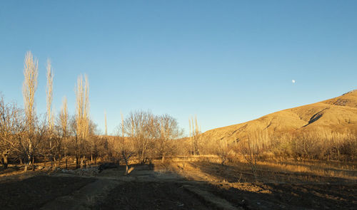 Scenic view of landscape against clear sky