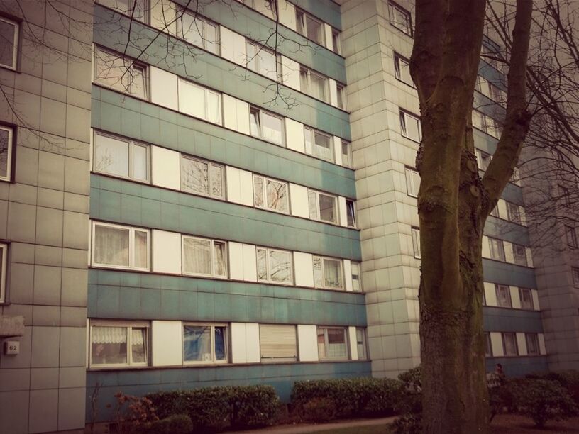 architecture, building exterior, built structure, window, building, city, residential building, tree, low angle view, residential structure, apartment, glass - material, modern, no people, growth, outdoors, day, office building, reflection, sky