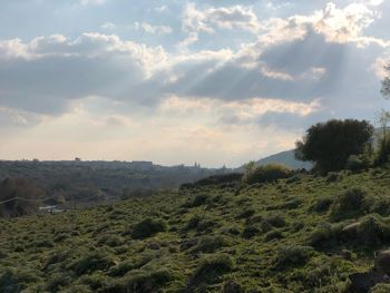 Scenic view of landscape against sky