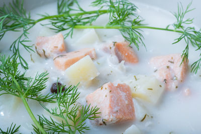 Traditional finnish cuisine, bowl of creamy salmon soup with dill topping.