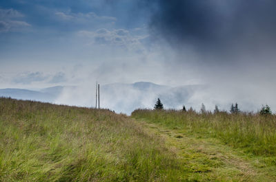 Scenic view of field against sky