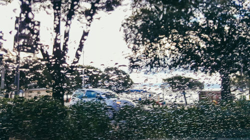 Close-up of wet car windshield during rainy season