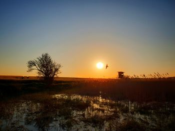 Scenic view of field against clear sky during sunset