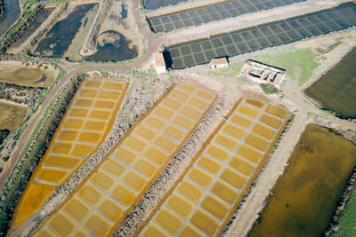 Drone shot of field