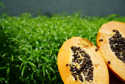 Close-up of orange slice in grass
