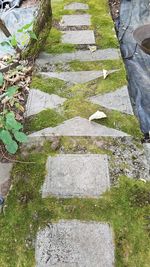 High angle view of stone steps