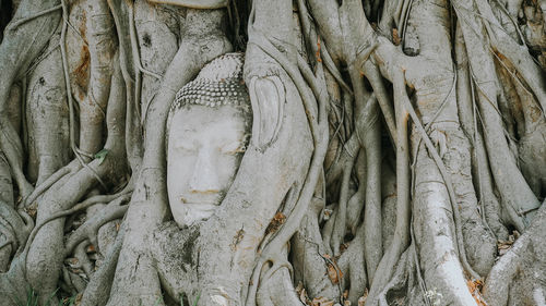 Wat mahathat,ayutthaya