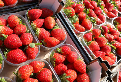 Red ripe strawberries in the small boxes at local