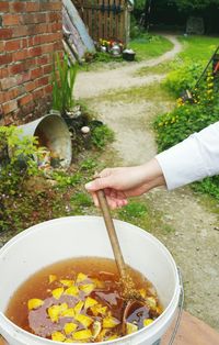 High angle view of hand in bowl