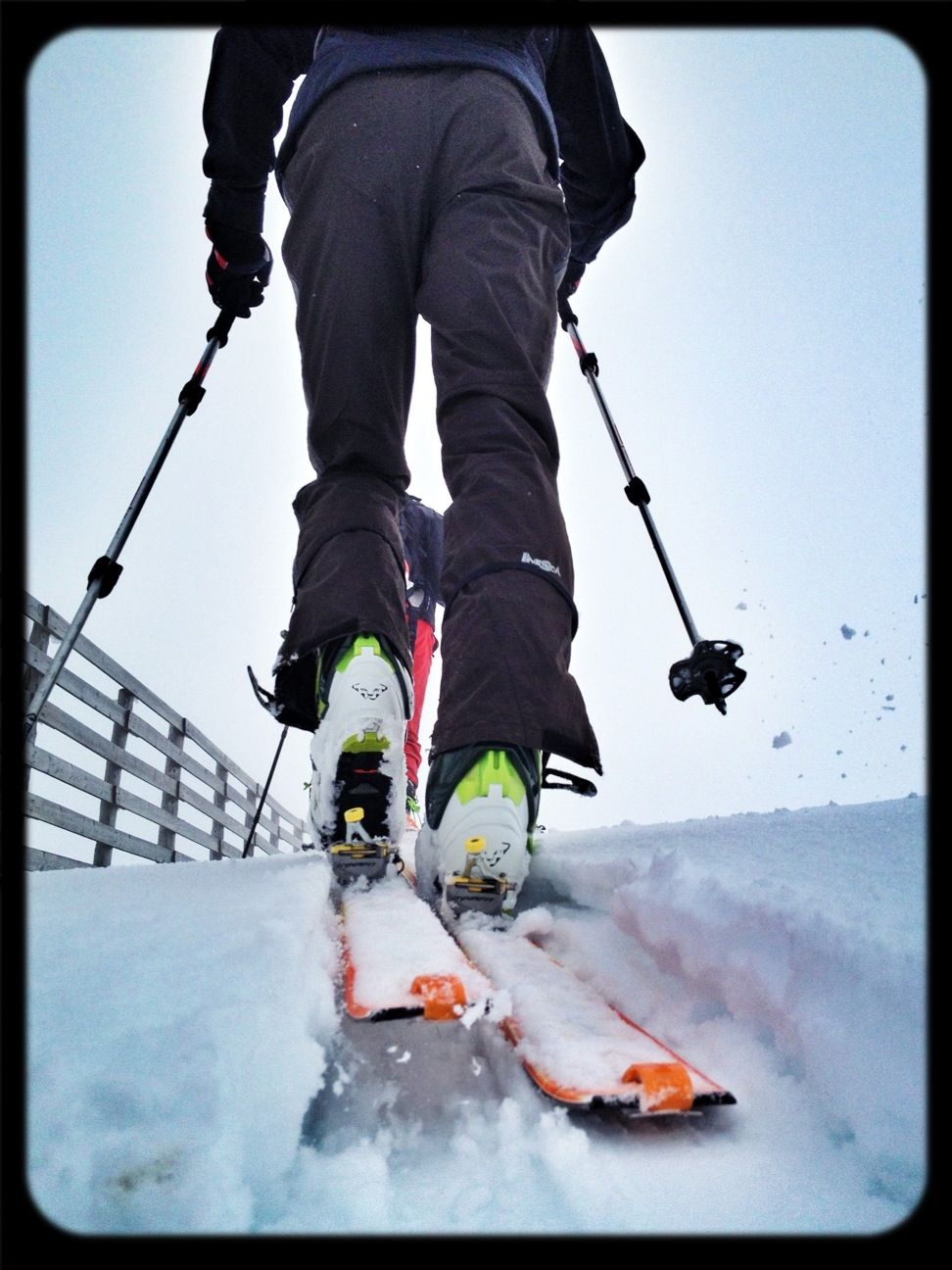 Continúa la temporada #dynafit #skimountaineering #skimo #esquídemontaña #boladelmundo #mountain #spring #ilovemountains #primavera #gasss #training #badsnow #fog