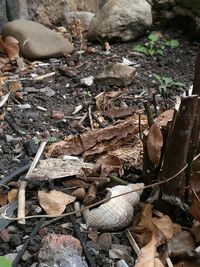 High angle view of messy ground