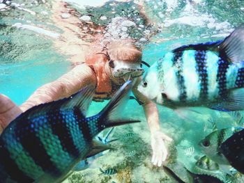 Fish swimming in sea