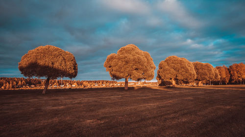 Hay bales on field against sky