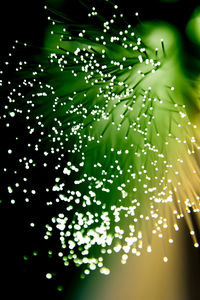 Close-up of raindrops on illuminated lights