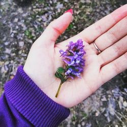 Close-up of hand holding flower