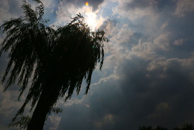 Low angle view of trees against cloudy sky