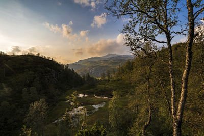 Scenic view of landscape against sky