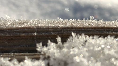 Close-up of snowflakes on frozen water