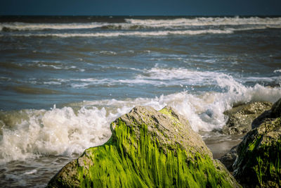 Rocks on sea shore