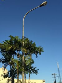 Low angle view of trees against clear blue sky